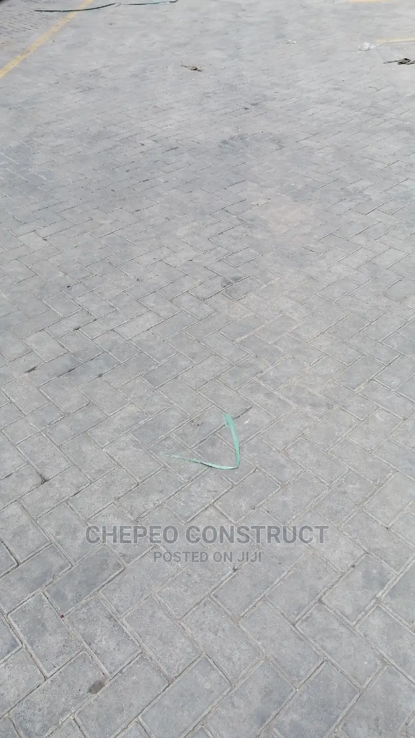 Ordinary Cabro / Paving Blocks