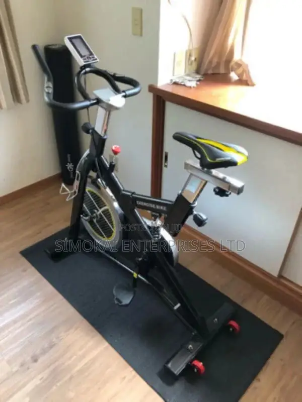 Haige Indoor Spin Bike