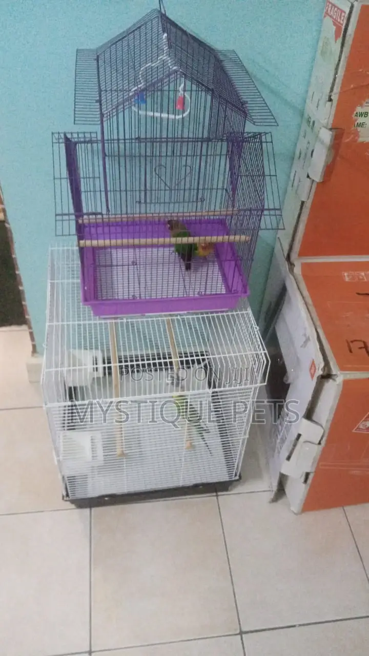 Small Cages
