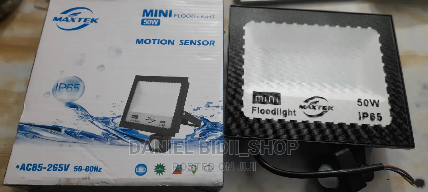 Electric Flood Light 100w