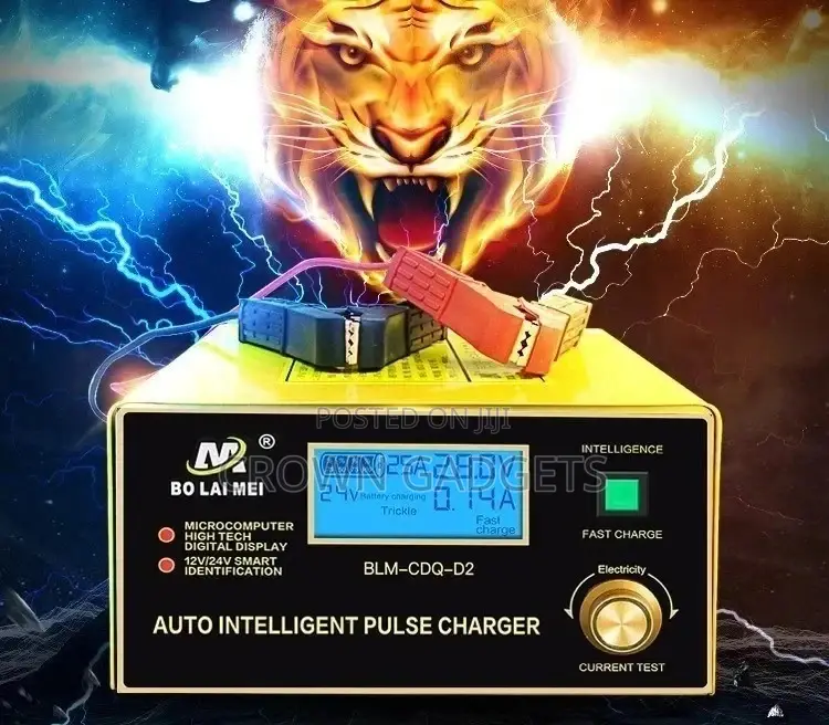 Car Battery Charger ,Intelligent Pulse Charger