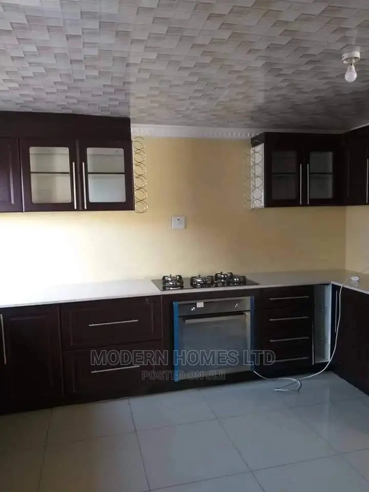 Modern Homes Kitchen Cabinets