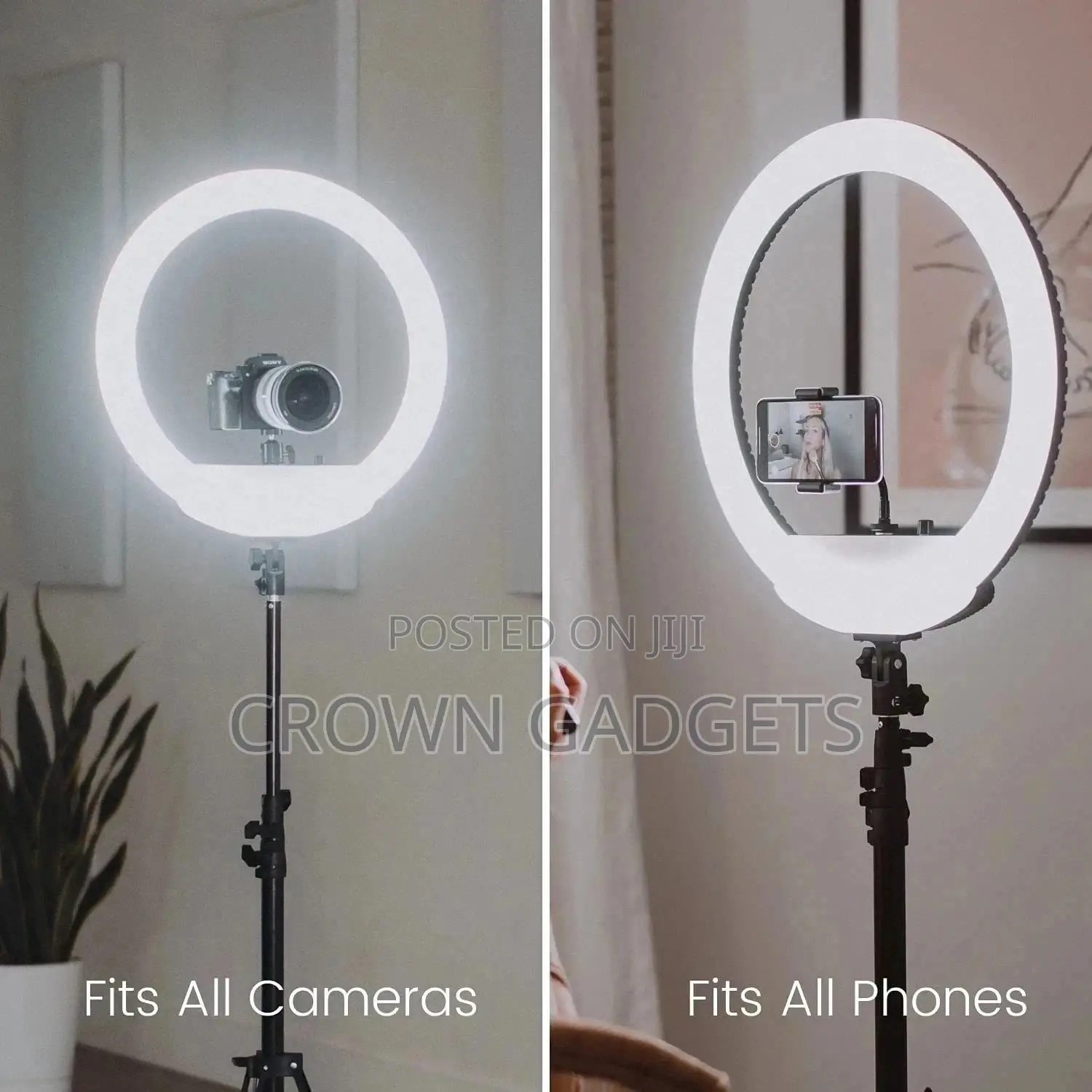 Brand New Generic 10 Inch LED Ring Light With Tripod Stand