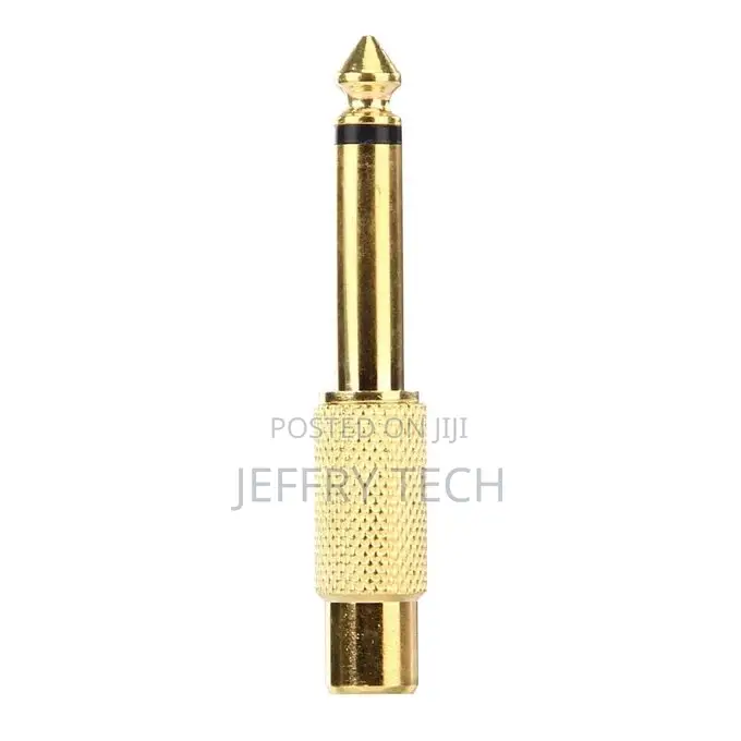Generic Gold Plated 6.35mm Memo Male to RCA Headphone Jack A