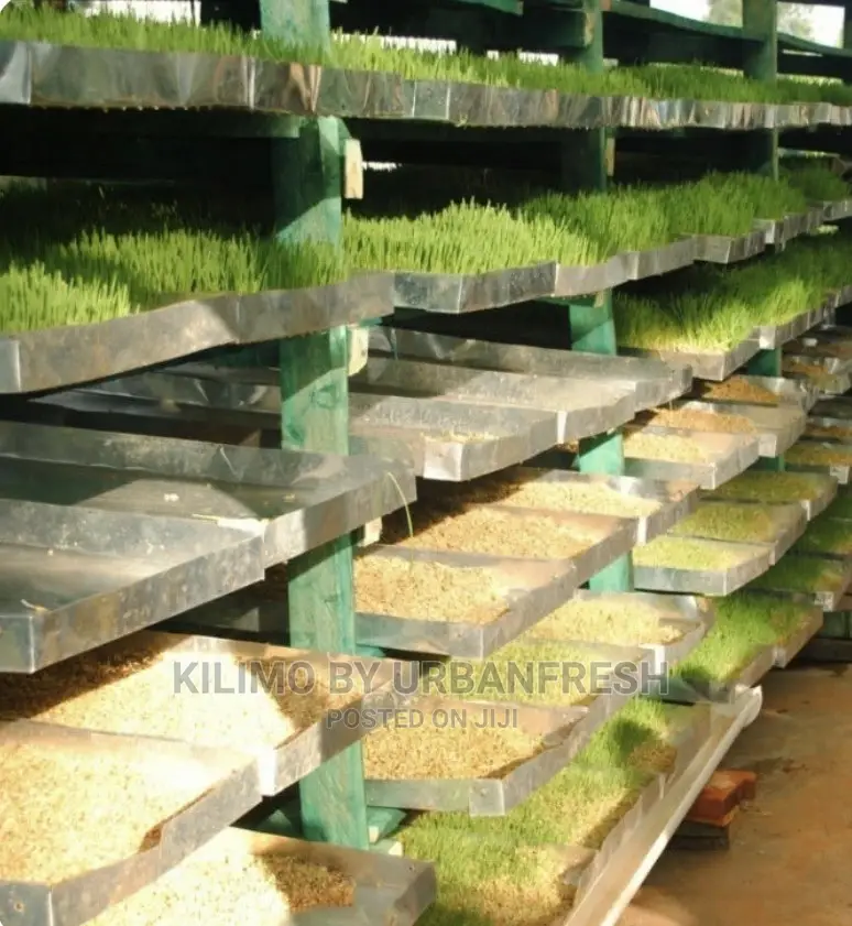 Hydroponic Fodder Production Unit Setup