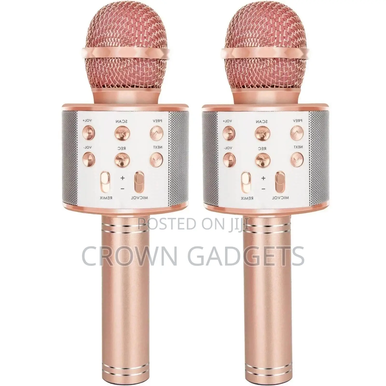 Bluetooth Karaoke Mic
