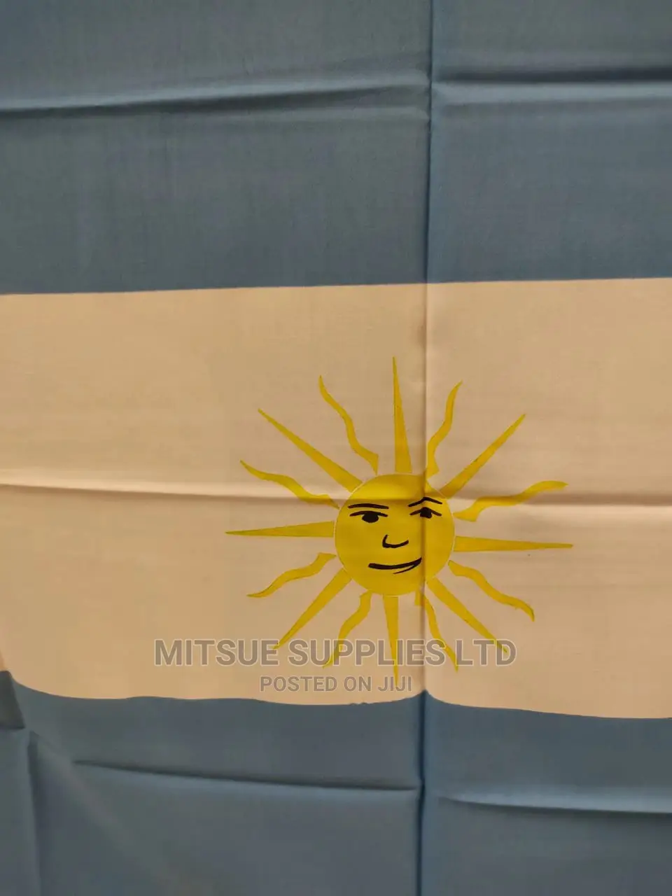 Argentina Flag Large 40x60 Inches