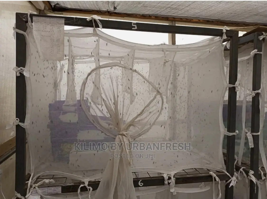 BSF Production Cage Nets BSF Production Units Available