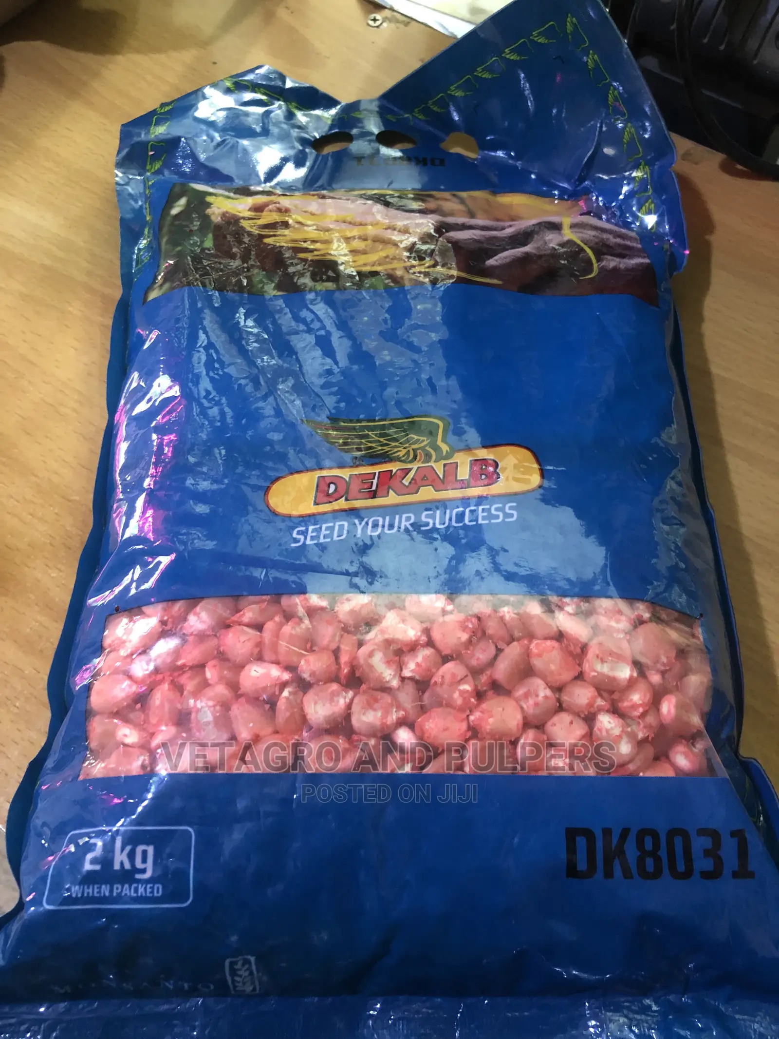 Maize DK 8031 Seeds 2kg