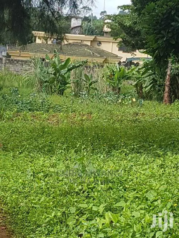 Half an Acre Land for Sale With Ready Title at Mimosa Drive