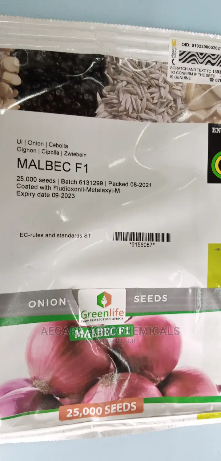 Malbeck F1 Hybrid Onion Seeds 100grams , 25,000 Seeds