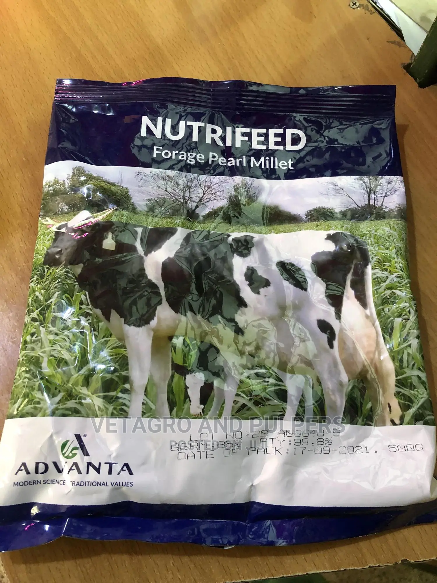 Forage Pearl Millet 1kg