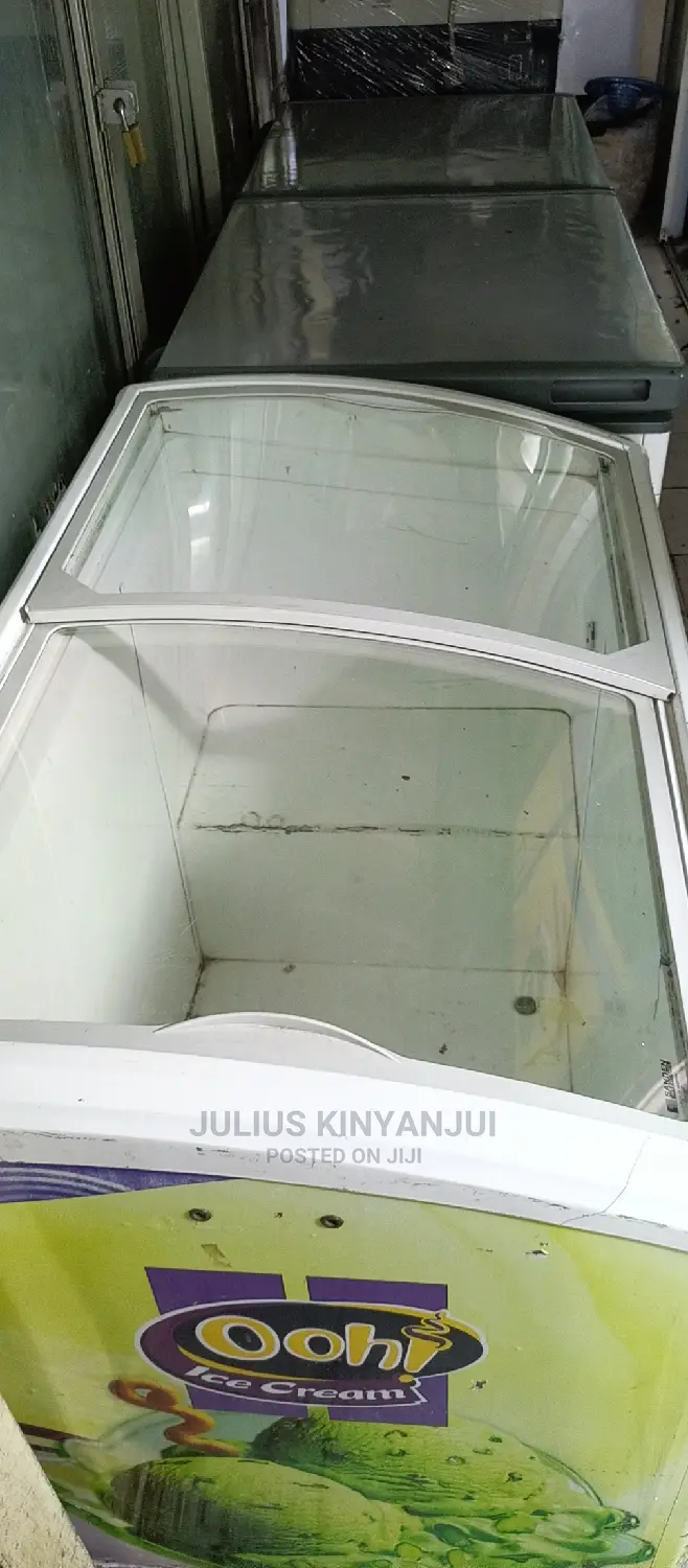 Sanden Deep Freezer