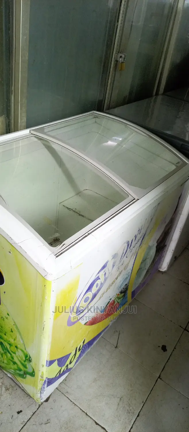 Sanden Deep Freezer