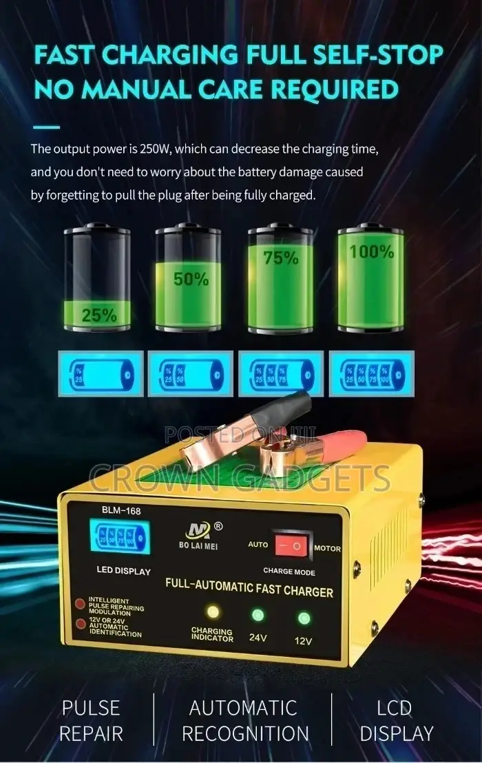 Rechargeable Car Battery Charger Blm 800