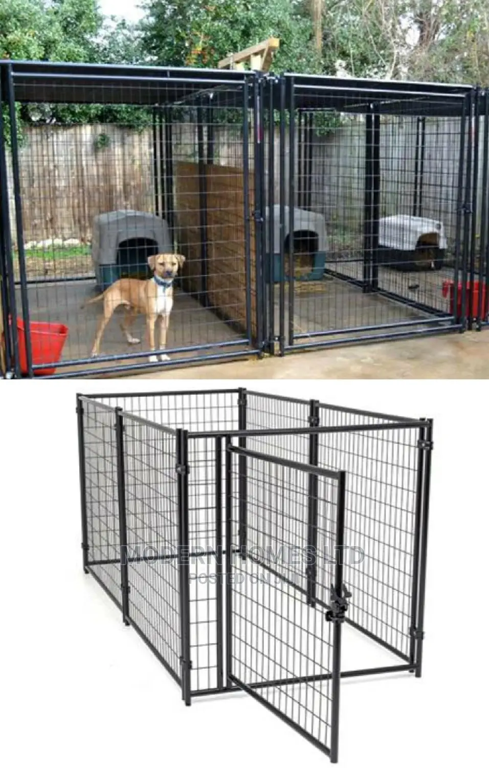 Chain Link Dog Kennel