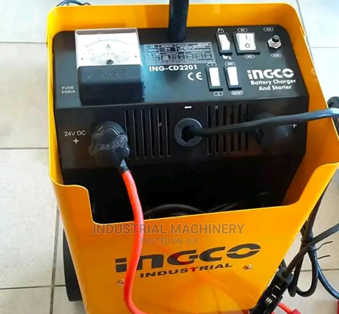 Buy Ingco Battery Charger