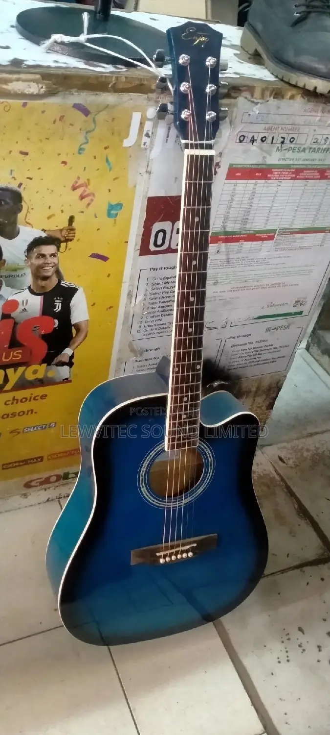 Enjoy Acoustic Guitar