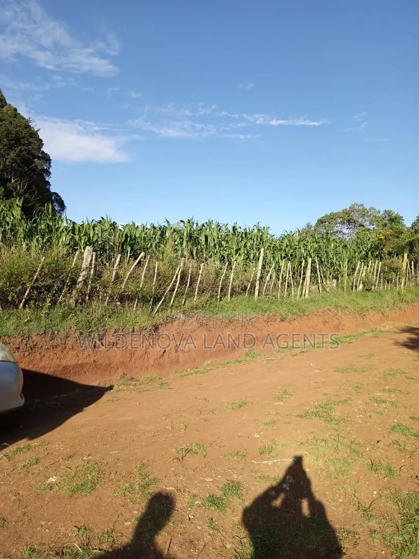 Land on Sale at Jabini. Kinangop