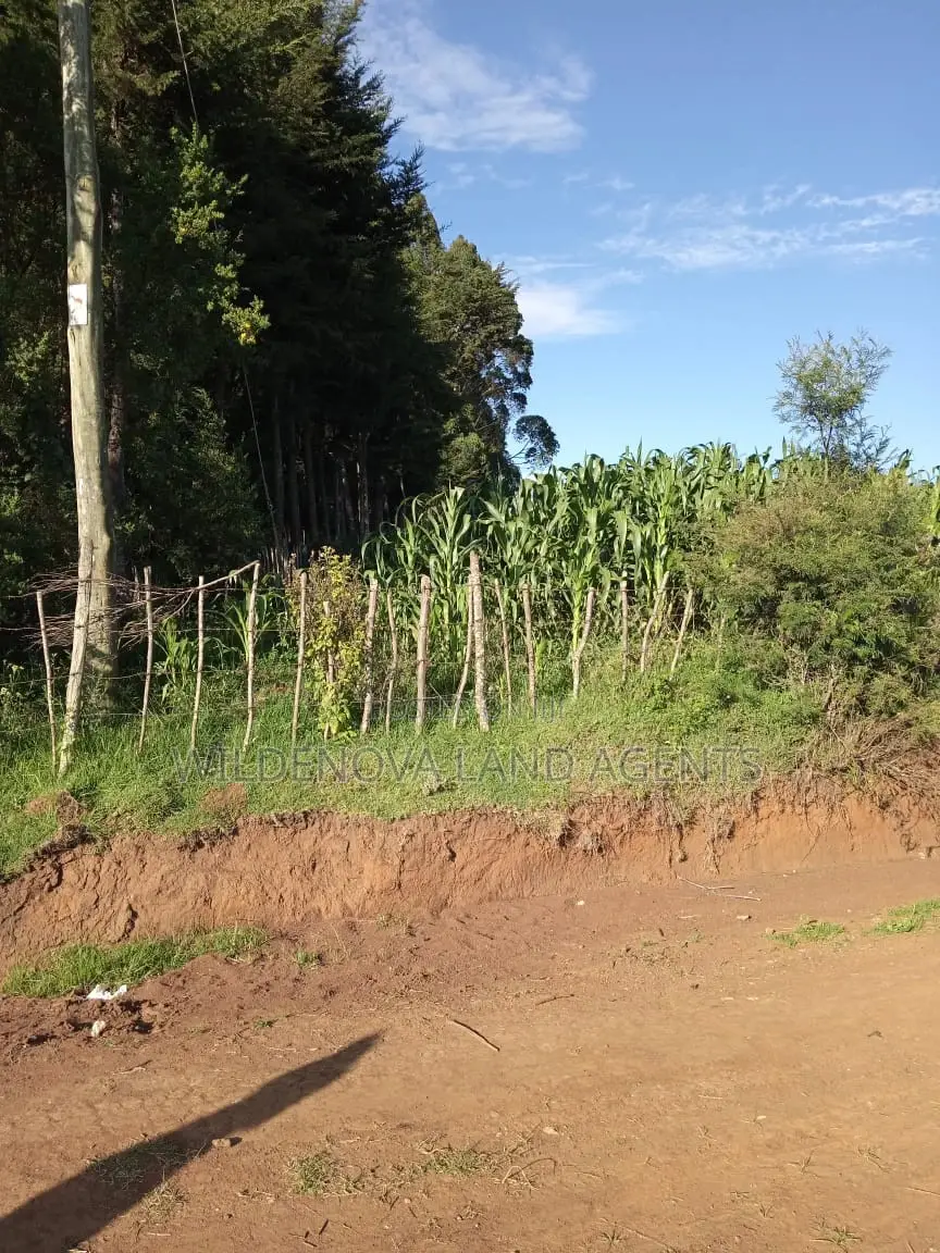 Land on Sale at Jabini. Kinangop