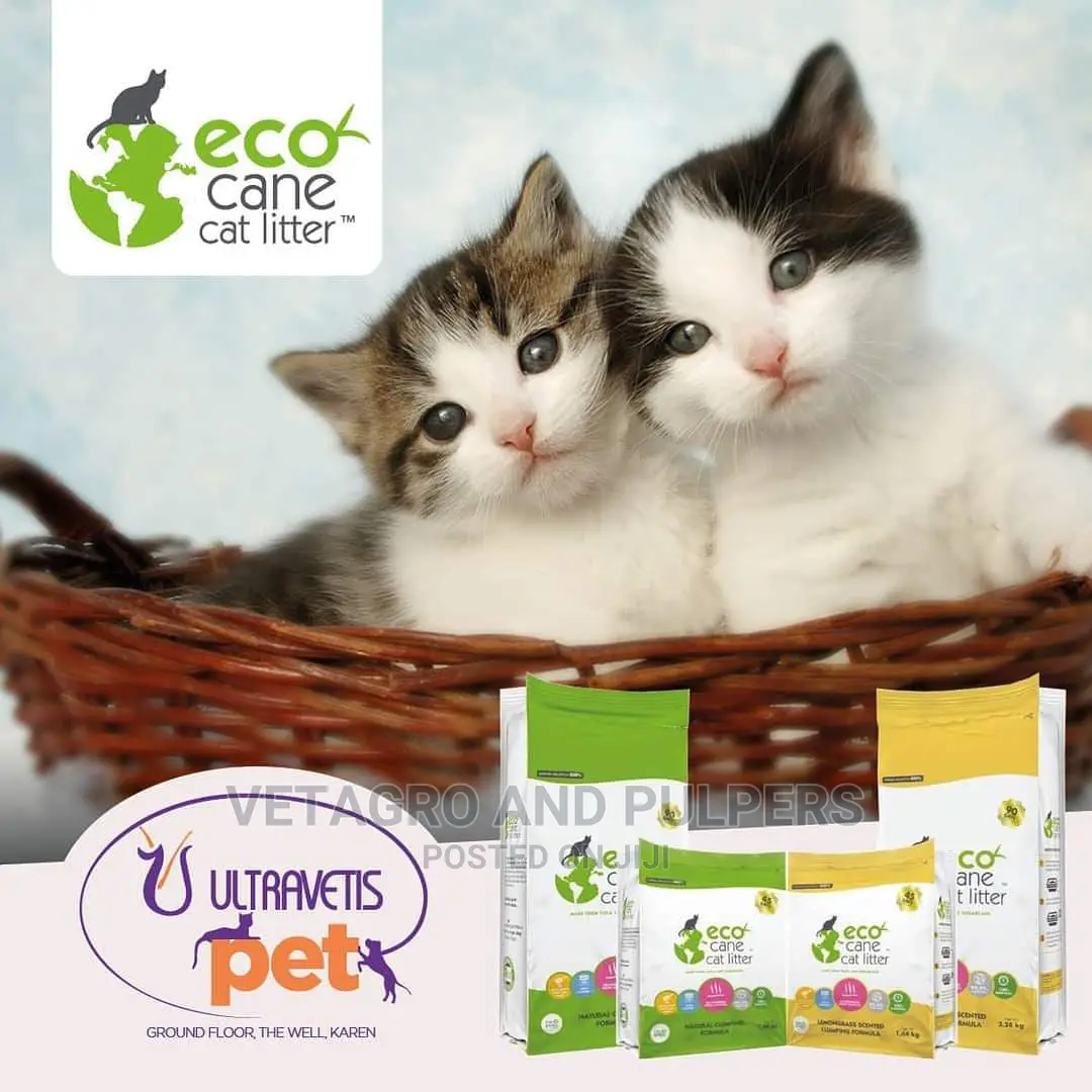 Eco Cane Clumping Cat Litter 1.64KG / 3.28 KG
