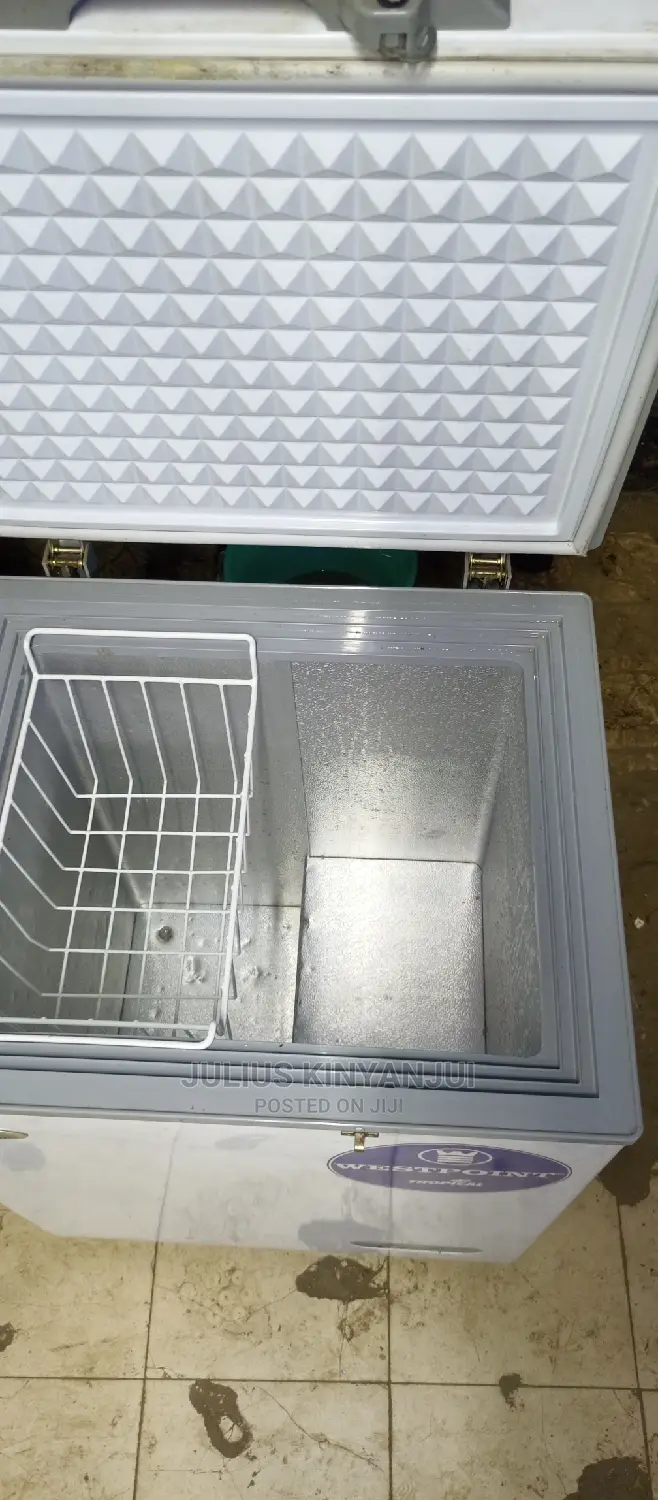 Mini Freezer 110L