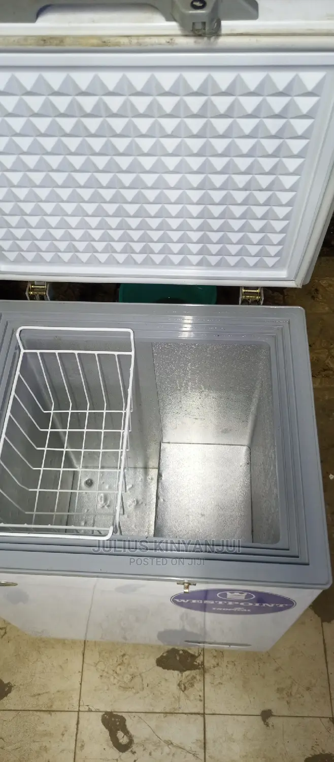 Mini Freezer 110L