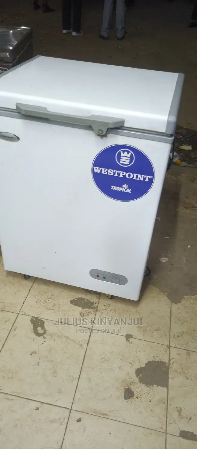 Mini Freezer 110L