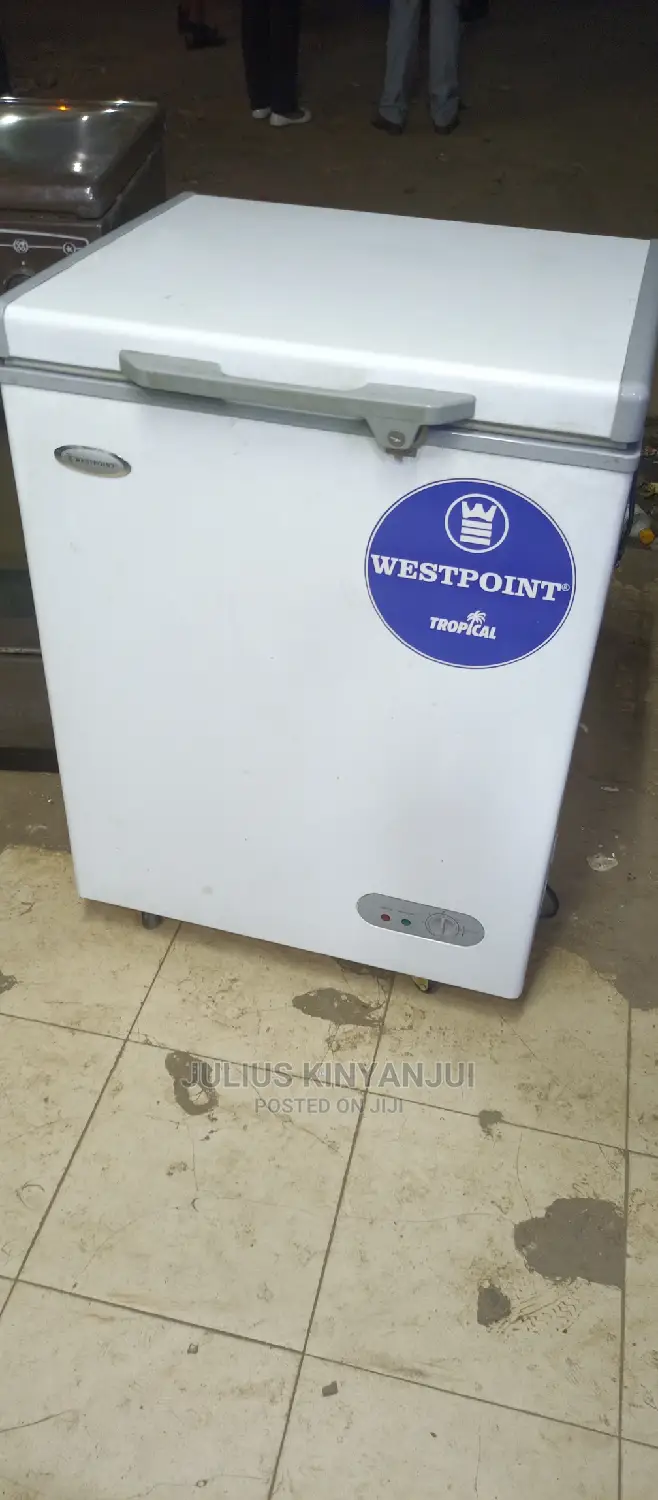 Mini Freezer 110L