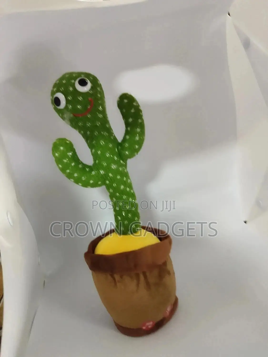 Dancing Cactus