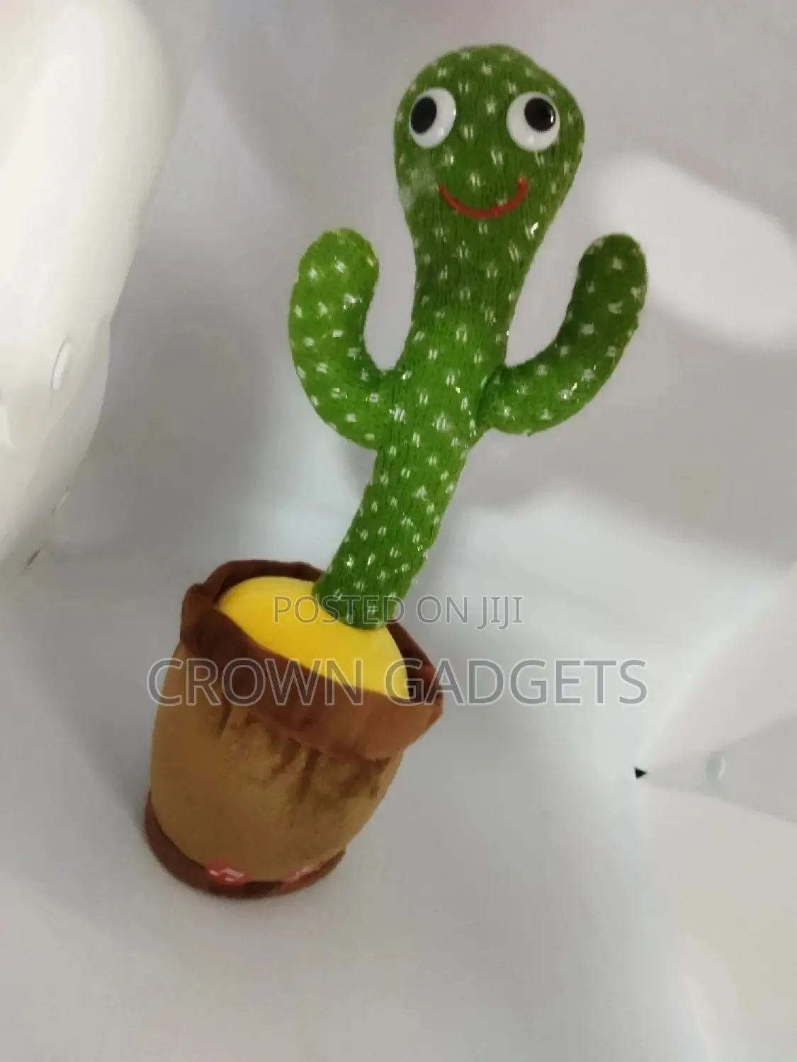 Babies Dancing Cactus