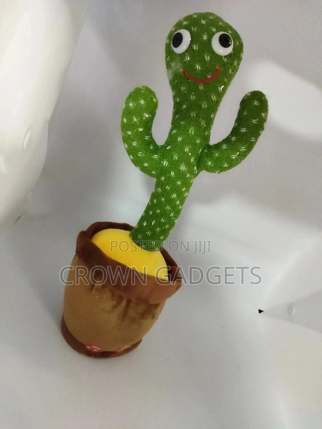 Babies Dancing Cactus