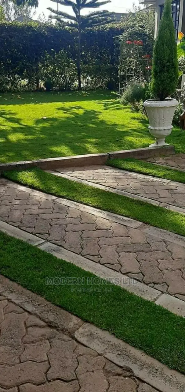 Modern Homes Landscaping and Gardening Services
