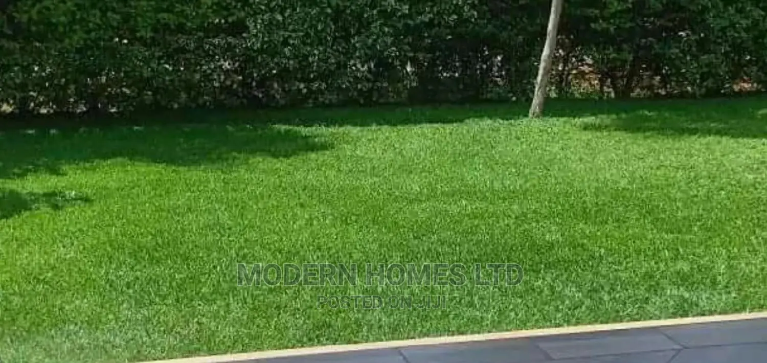 Modern Homes Landscaping and Gardening Services