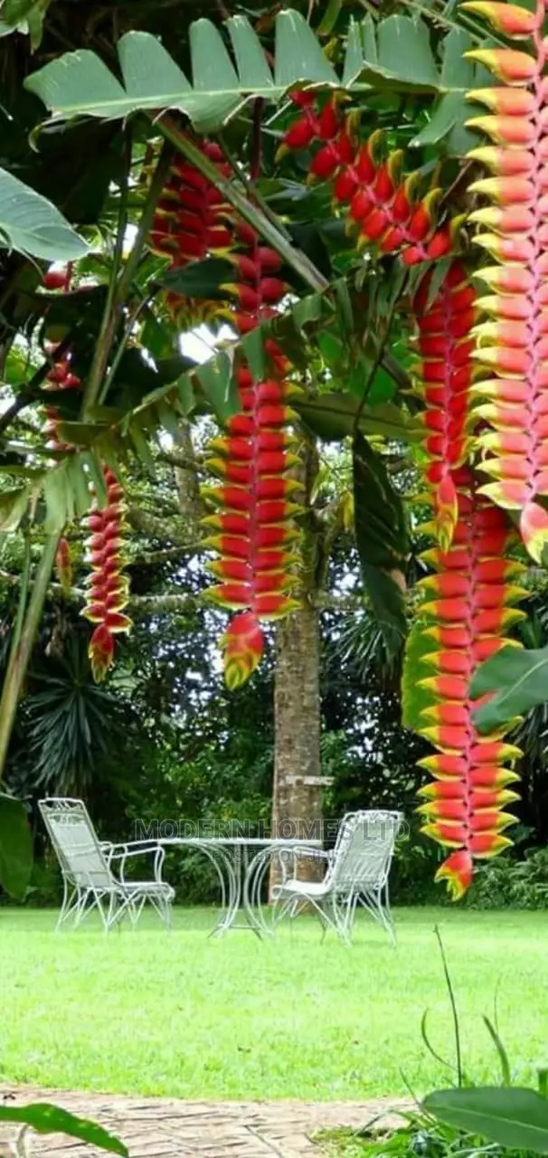 Landscaping and Gardening Services