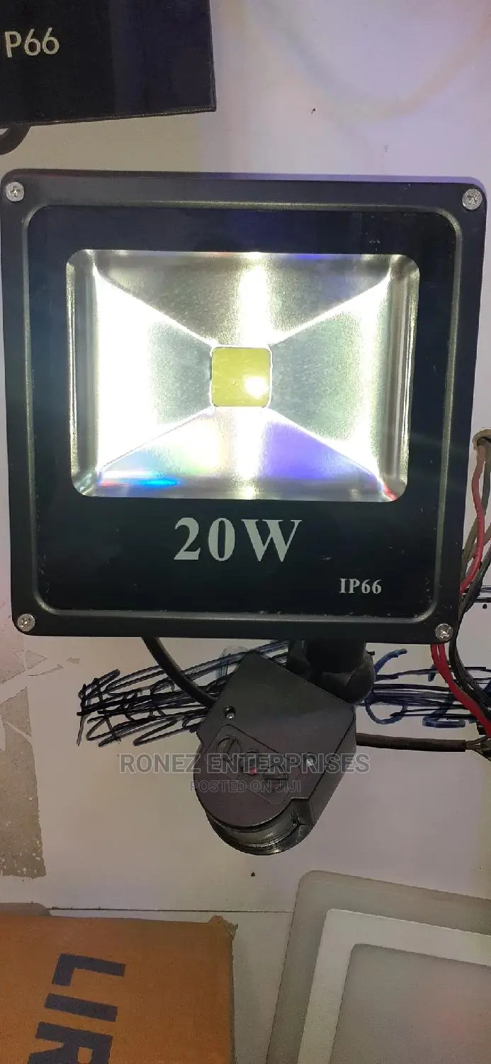 20wlt Floodlight With Sensor
