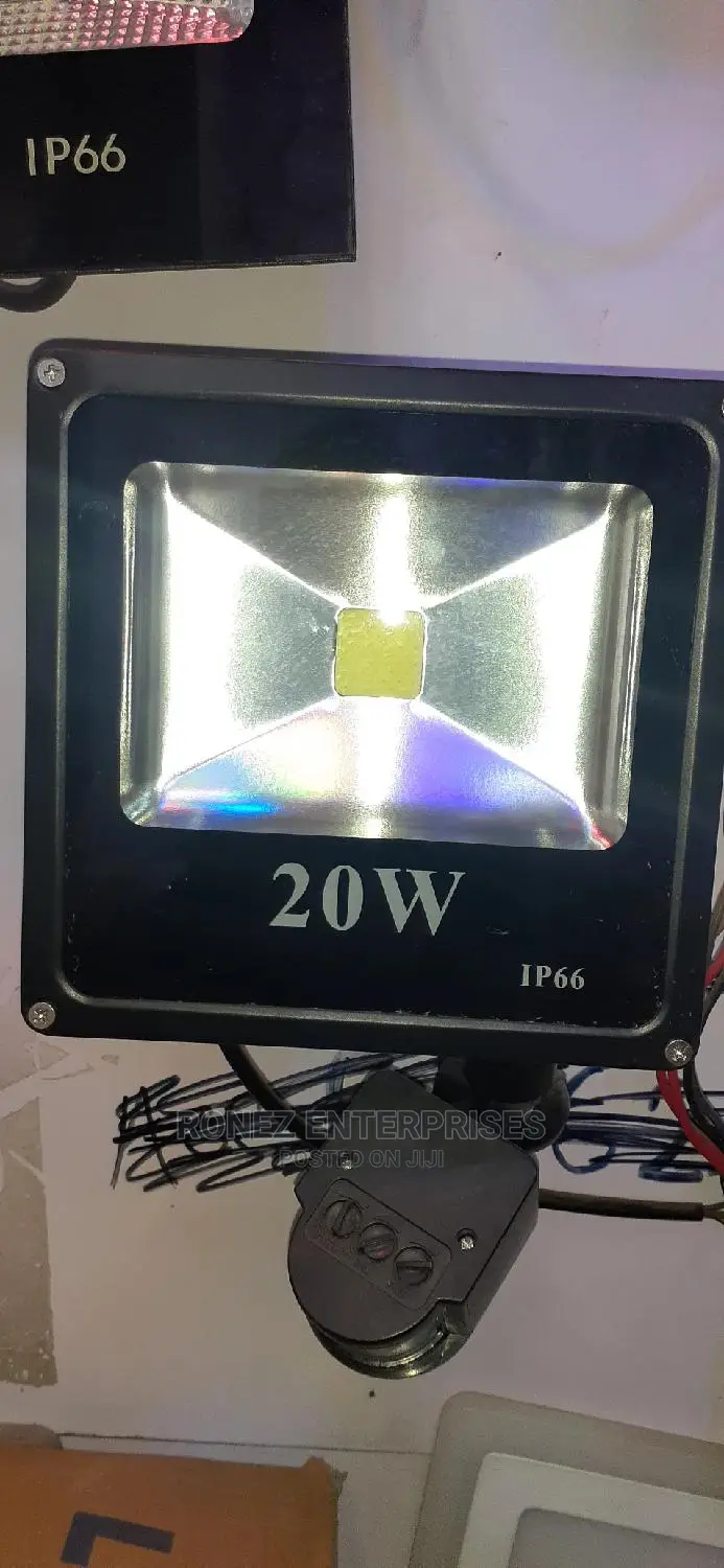 20wlt Floodlight With Sensor