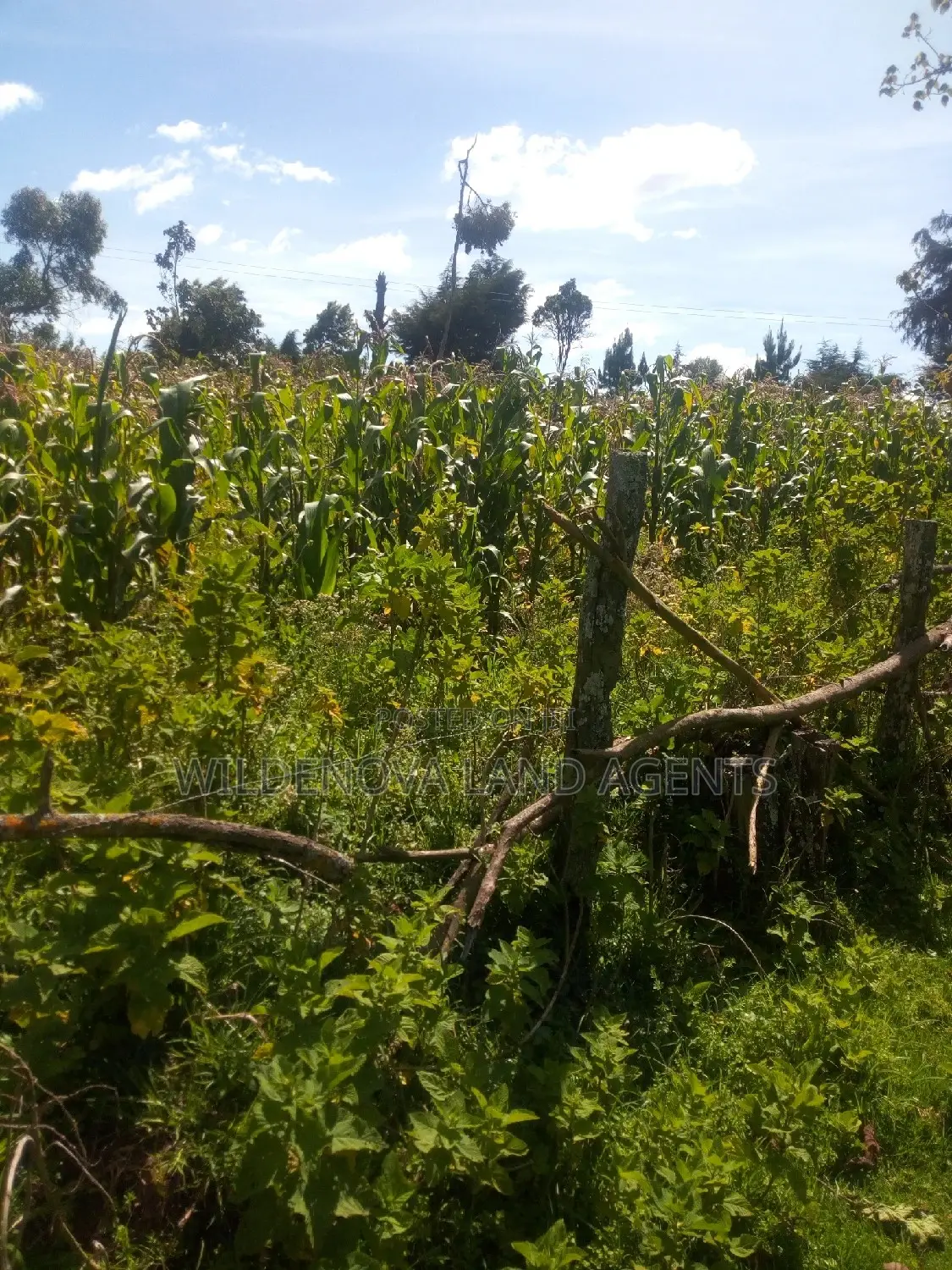 2 Acres on Sale at Flyover Kinangop