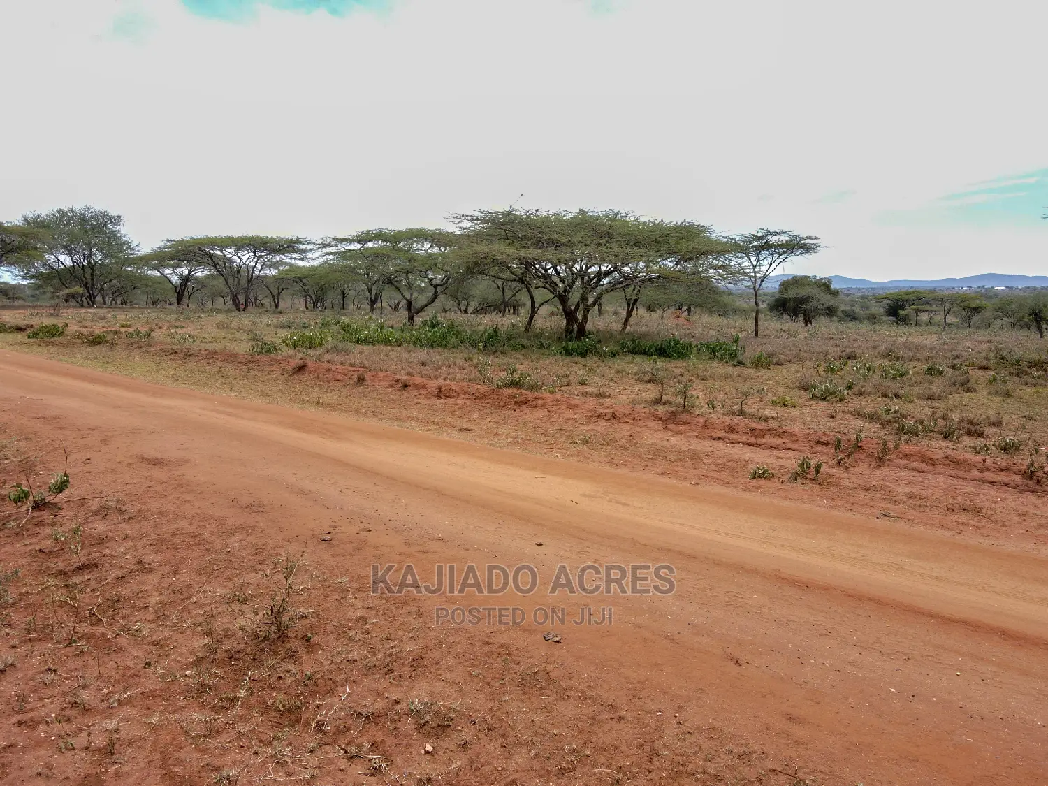 5 Acres Sajiloni at 1.2m Per Acre