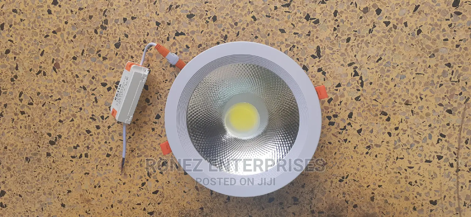 Led Downlight/Spotlight 30wlt
