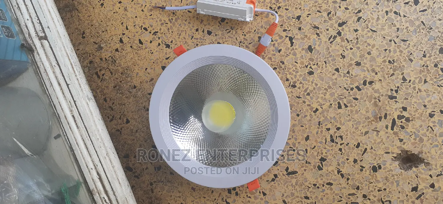 Led Downlight/Spotlight 30wlt