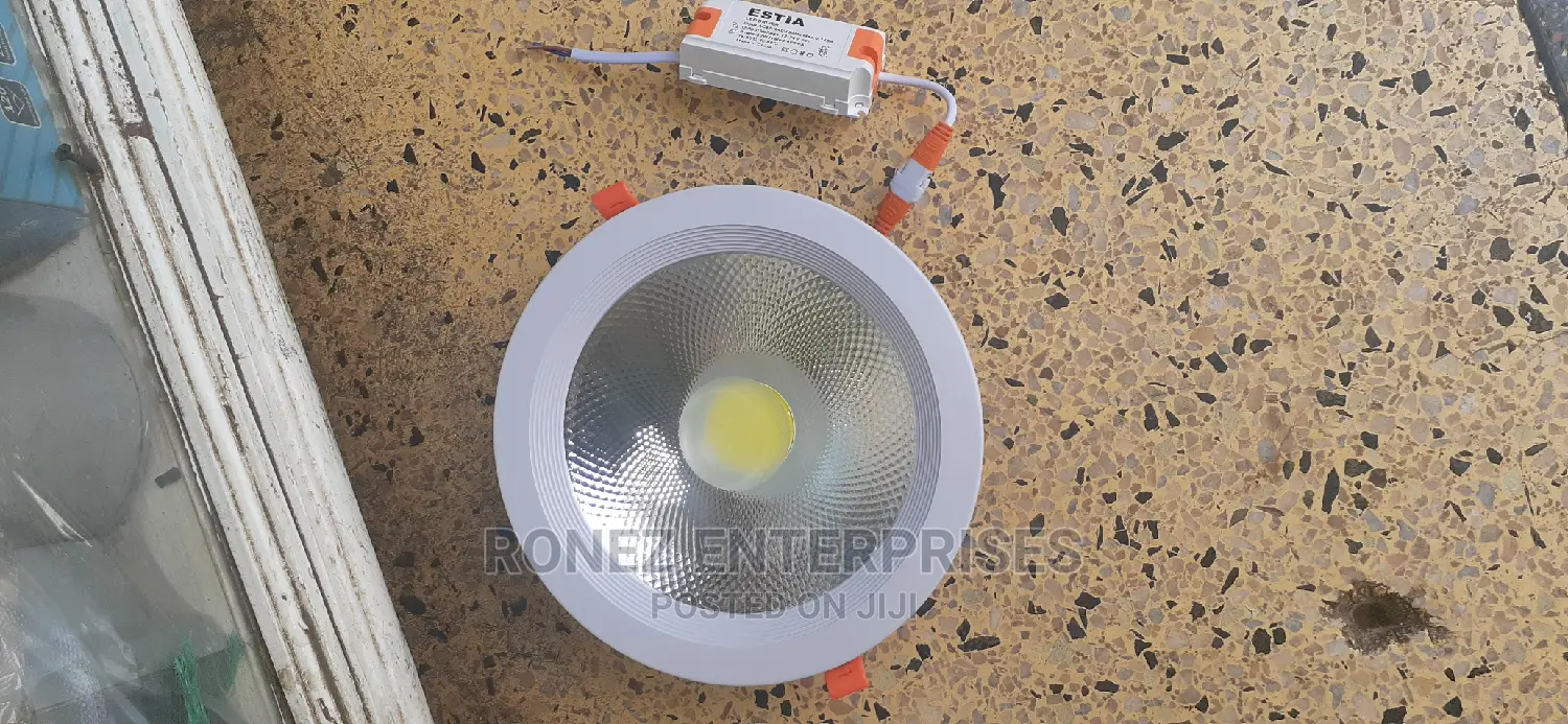 Led Downlight/Spotlight 30wlt