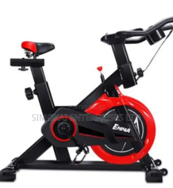 Gym Master Cycle Bike Exercise Trainer