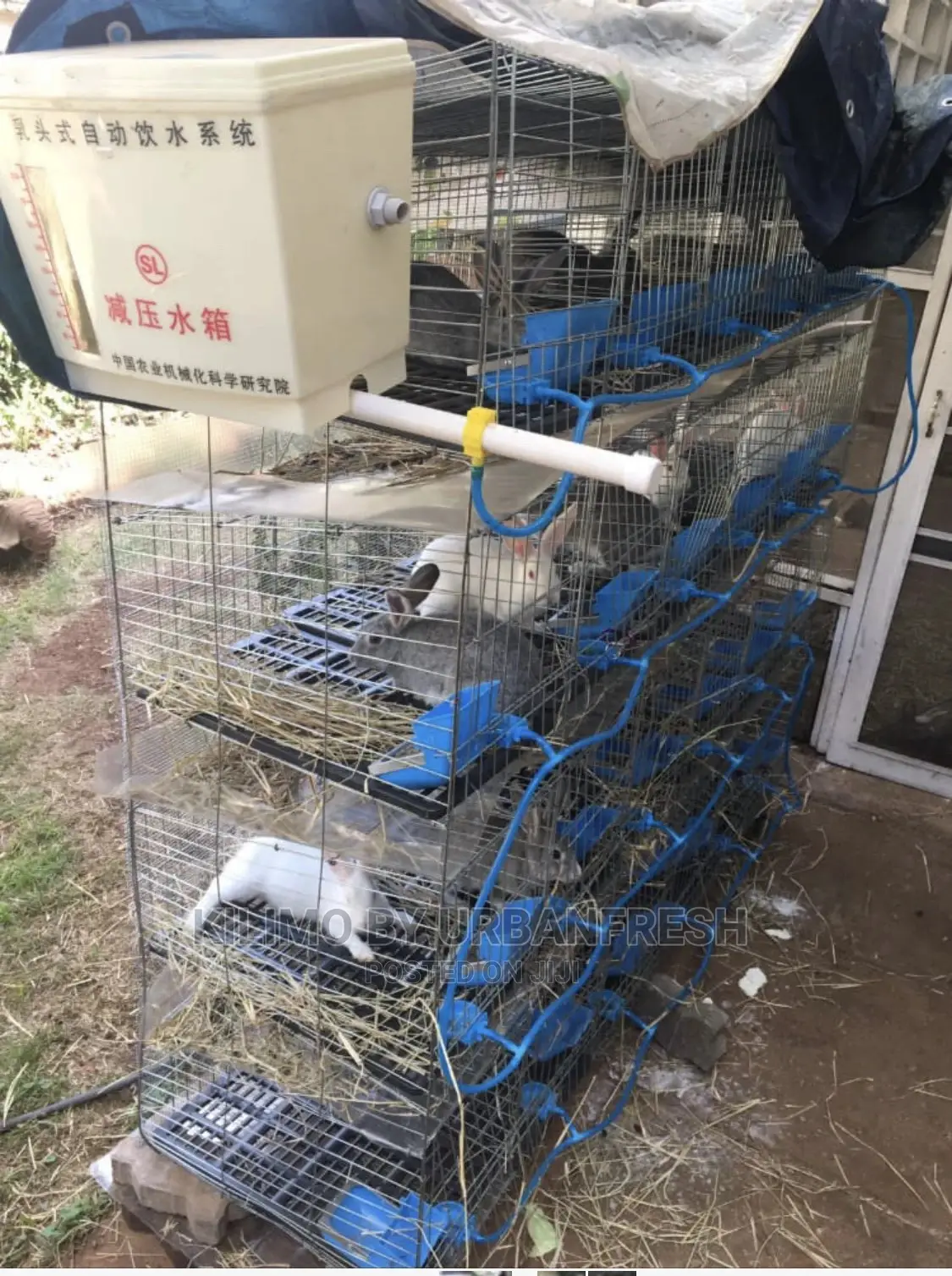 Rabbit Cages With Feeders,Drinkers Urine Collection Point.