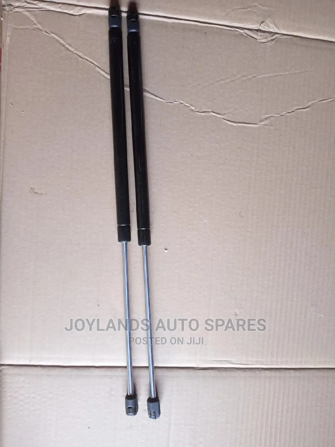 Boot Shock Nissan Xtrail 2005