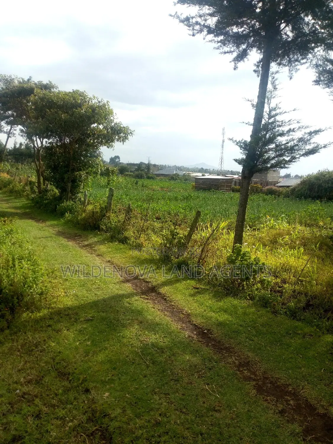 Plot on Sale at Naivasha Kinungi