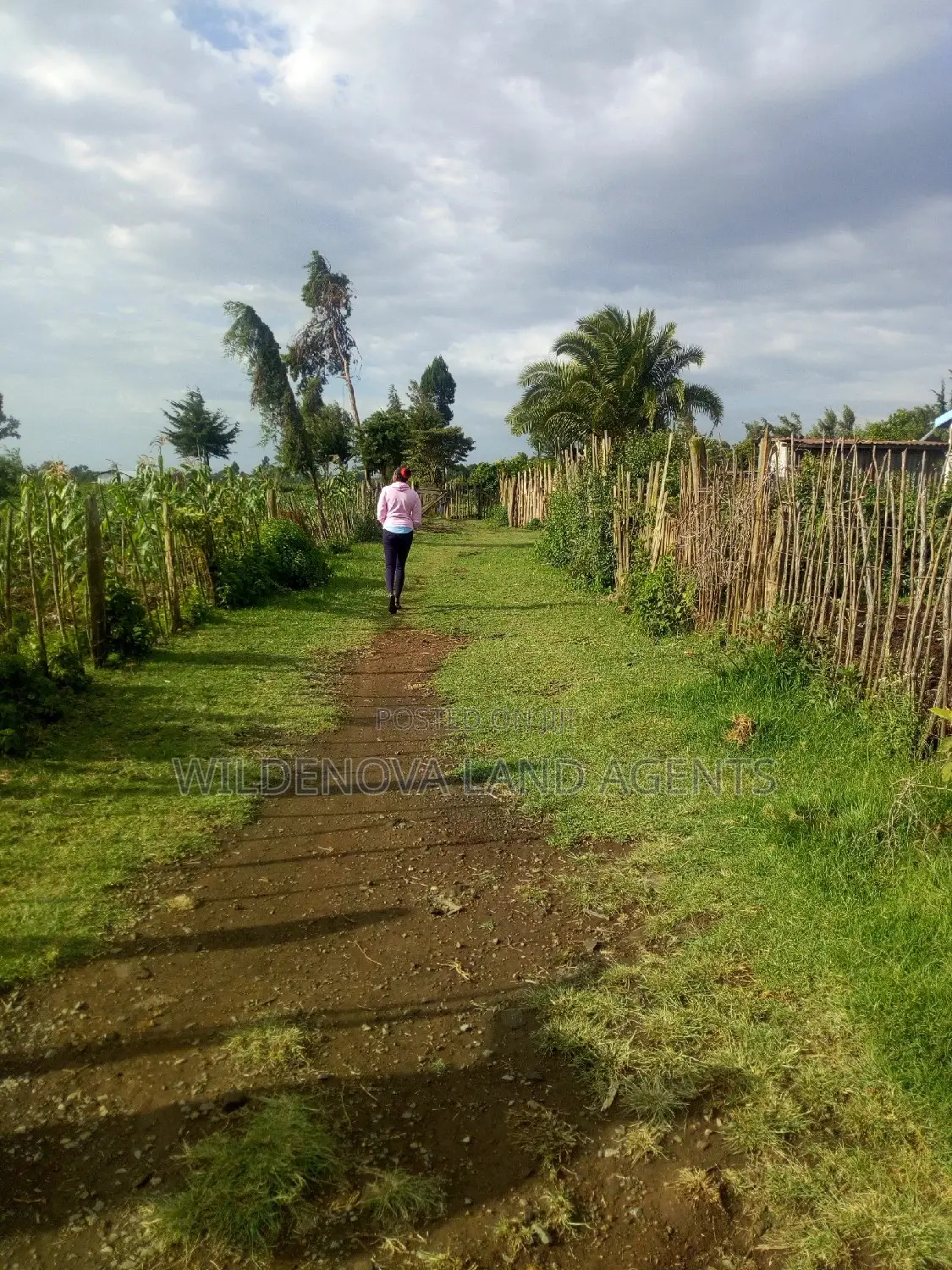 Plot on Sale at Naivasha Kinungi