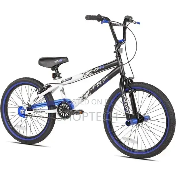 Size 18 Kids Bicycle.