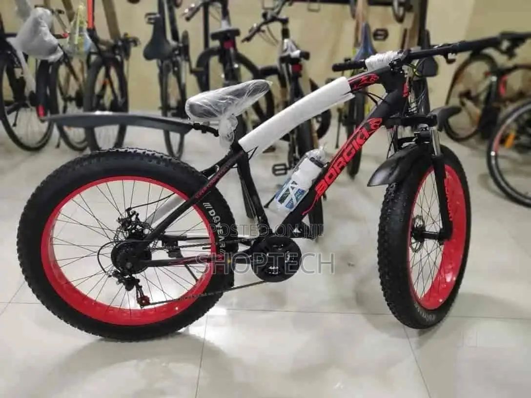 Size 18 Premier Bicycle.