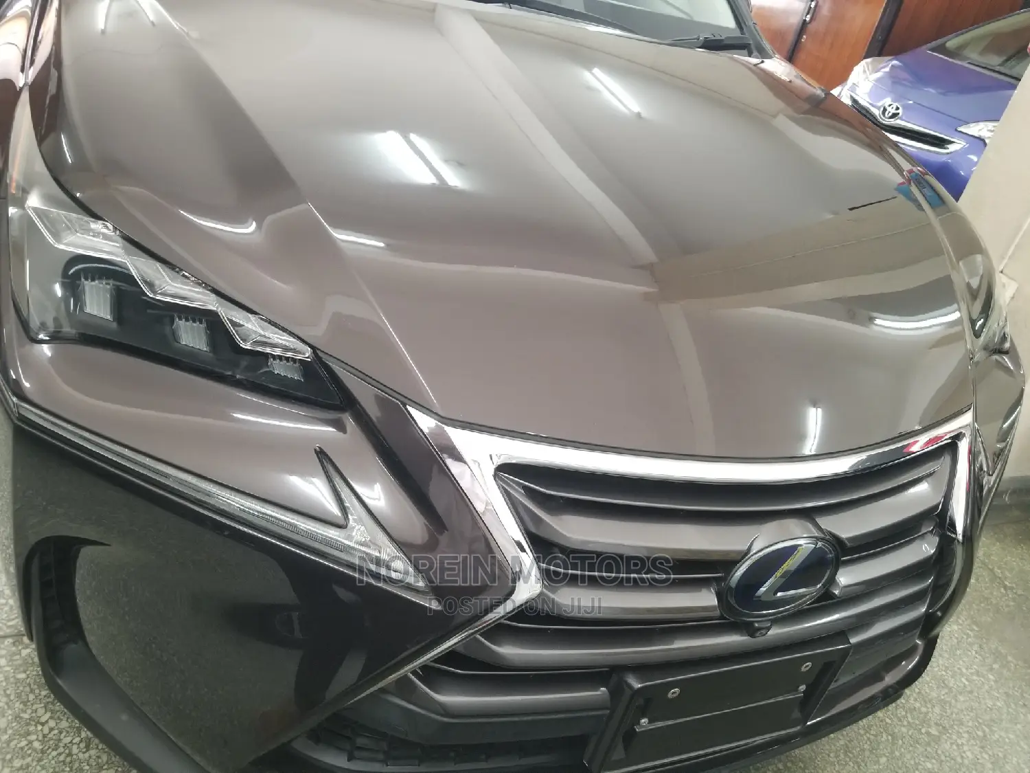 Lexus NX 300h 2014 Gray